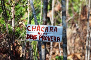 INVASÃO DE TERRAS - Supostos 'crentes' invadem e desmatam ilegalmente área na Br 319