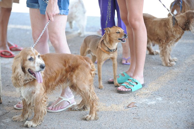 LUCRO: “Humanização” de animais de estimação gera negócios bilionários