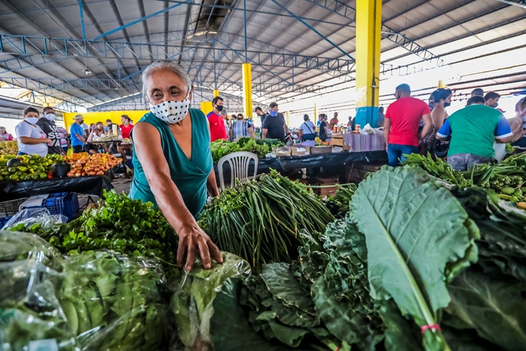 HOMENAGEM: Agricultor tem reconhecimento da Prefeitura de Porto Velho