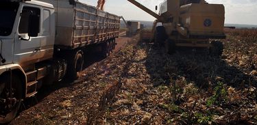 AGROPECUÁRIA: Censo mostra aumento da área destinada à agricultura no país