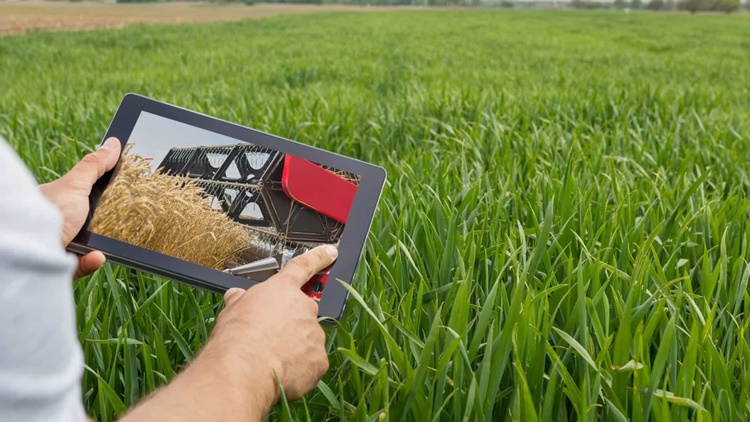 LEVANTAMENTO: Com receita recorde, agronegócio aumenta participação no PIB do País