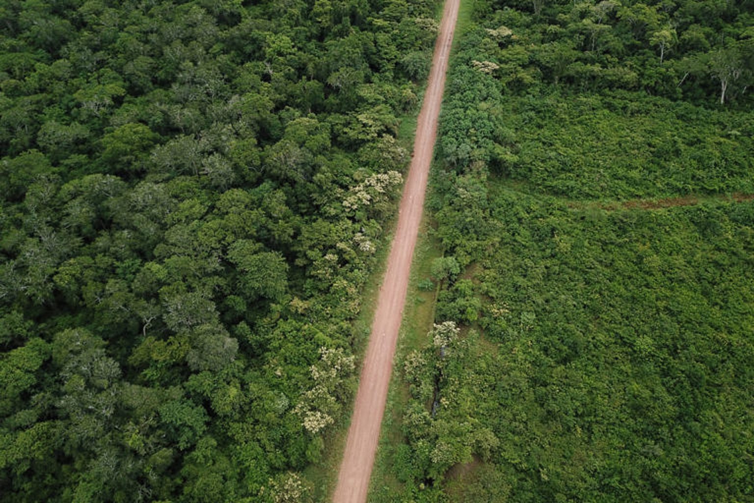 PERIGO: Projetos de estradas na Amazônia podem desmatar 2,4 milhões de hectares nos próximos 20 anos