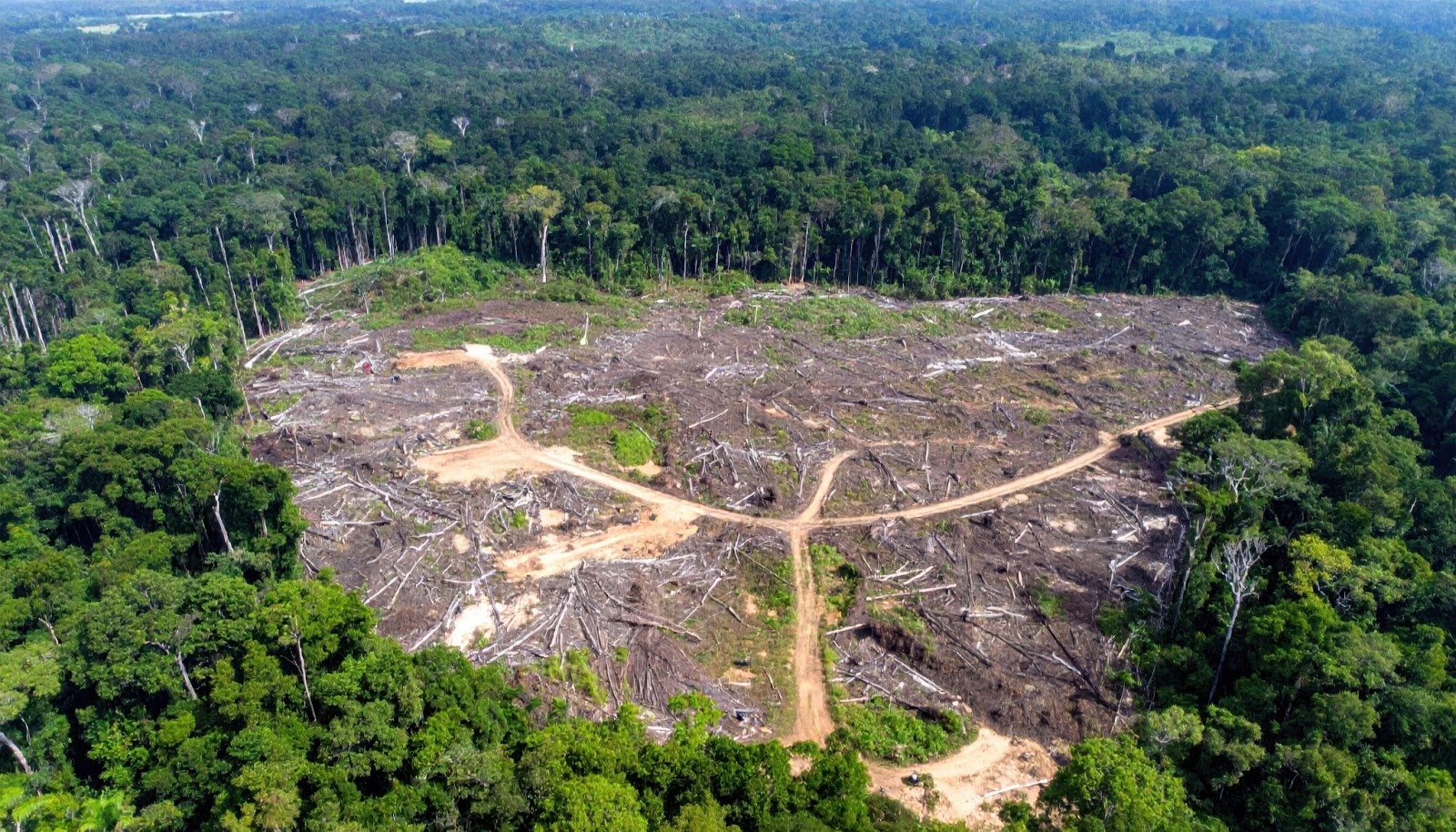 MEIO AMBIENTE : PL do Licenciamento ameaça até o que já está protegido na Amazônia