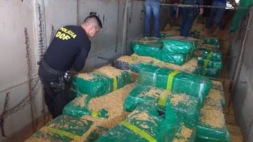 RECORDE: Polícia apreende 10,7 toneladas de maconha dentro de caminhão