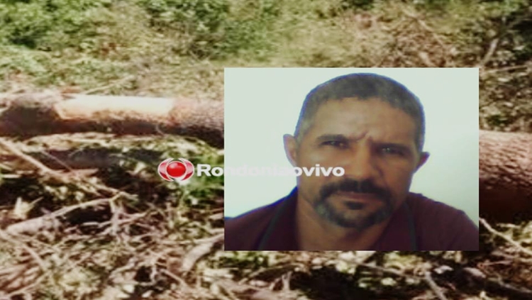 FATAL: Trabalhador morre ao ser atingido por árvore durante derrubada