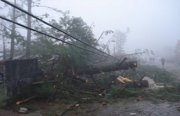 CACOAL – Vendaval atinge quase 90 km/h e assusta moradores