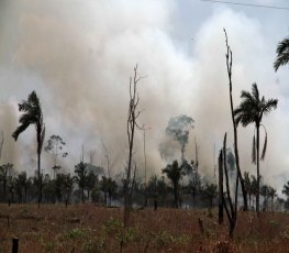 Corpo de Bombeiros registra cerca de 15 denúncias diárias sobre incêndios