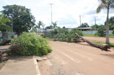 Temporal que destruiu Pimenteiras deixou prejuízo de R$ 1 milhão, calcula prefeito