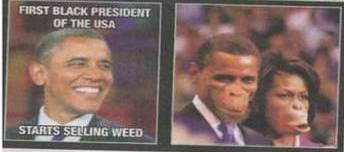 Jornal belga publica imagem de Obama e Michelle representados como macacos