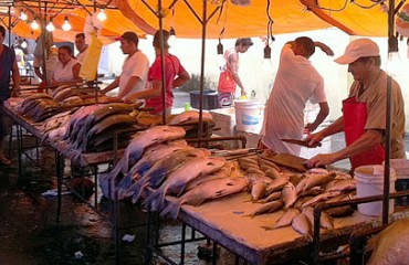 PESCA – Saiba quais peixes estão em conta e os mais caros durante a Semana Santa