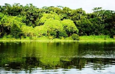 EVENTO - O impacto do novo código florestal brasileiro na Amazônia