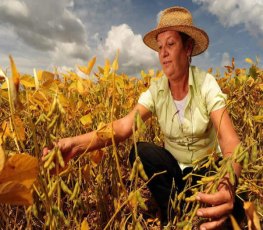 Agricultora é agredida e roubada