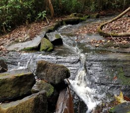 Parque Estadual deve ser aberto para visitação pública a partir de 2018