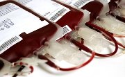 BANCO DE SANGUE - Fundação Hemeron busca novos doadores