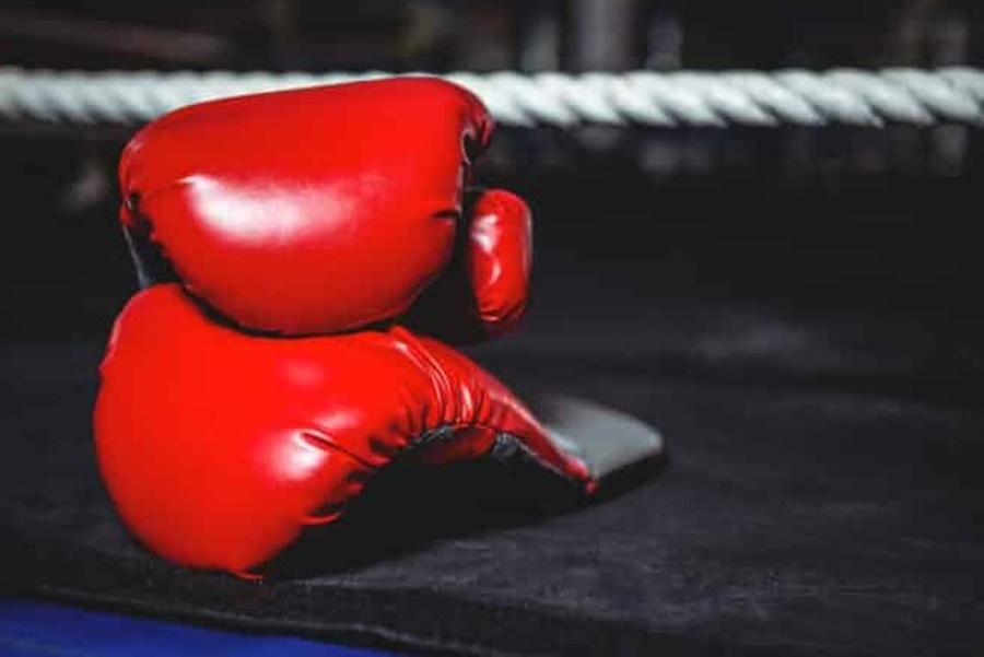 APOSTAS: Blaze App Para Ganhar Dinheiro & Boxe