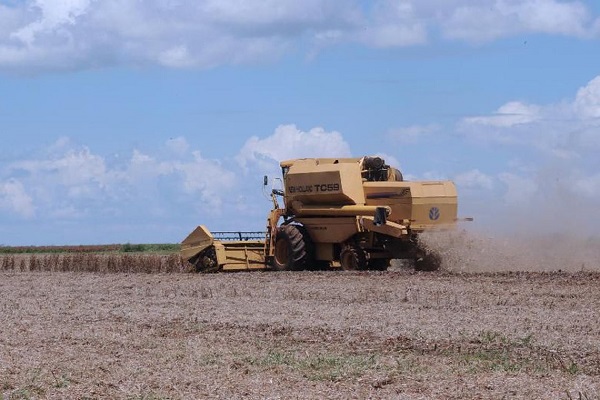 QUEDA: Confiança no agronegócio cai 8,6 pontos no trimestre, diz Fiesp