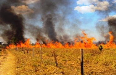 QUEIMADAS – Área chacareira do Nova Esperança é destruída por fogo e bombeiros demoram para atender ocorrência – Fotos e vídeo