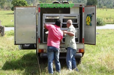 Funcionário  de fazenda é morto após suposto ataque Sem Terra