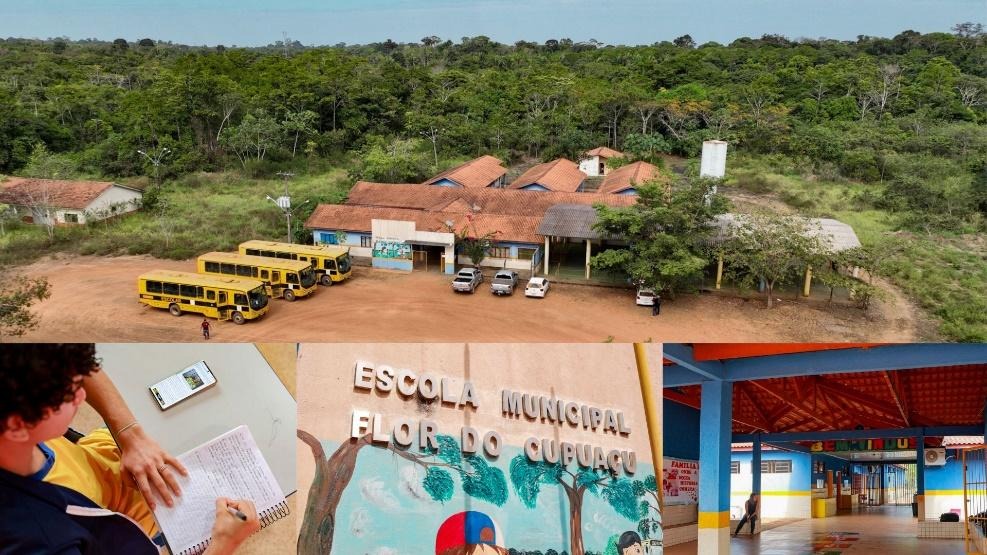 PROJETO RIO MADEIRA: Future Climate Group gera créditos de carbono para o mercado internacional