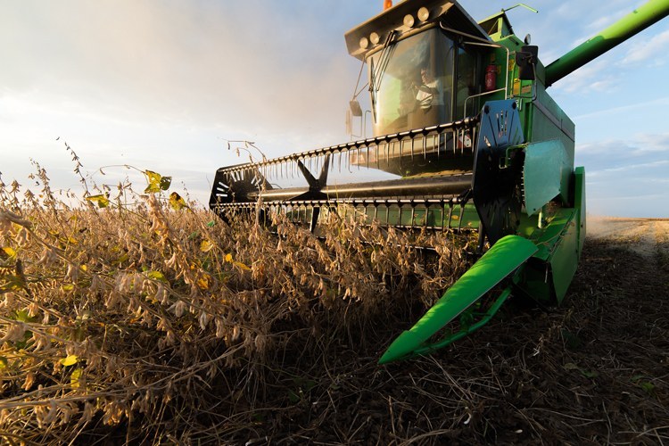 FINANCIAMENTO: Contratações de crédito rural somaram R$ 16,5 bilhões em julho