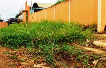 SUJEIRA – Escola municipal de educação infantil do bairro Caladinho derrama dejetos de alunos em via pública – Fotos e Vídeo