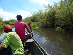 Pescador morre ao mergulhar para escapar de fiscalização