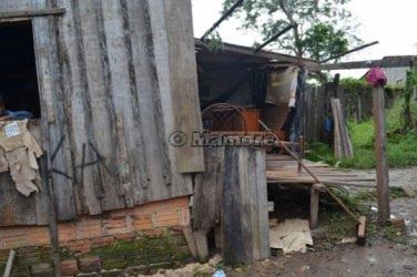 Árvore cai em cima de jovem e destrói parte da casa