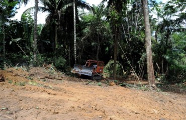 Superintendente da Infraero desmente prática de crime ambiental no bairro Nacional - Fotos