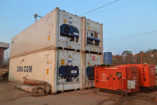 Rondônia exporta carne e teca para a Europa via Porto de Belém