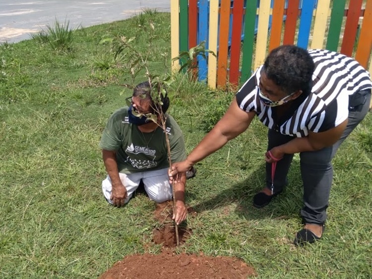 MEIO AMBIENTE: Prefeitura de Porto Velho realiza arborização recorde nos distritos