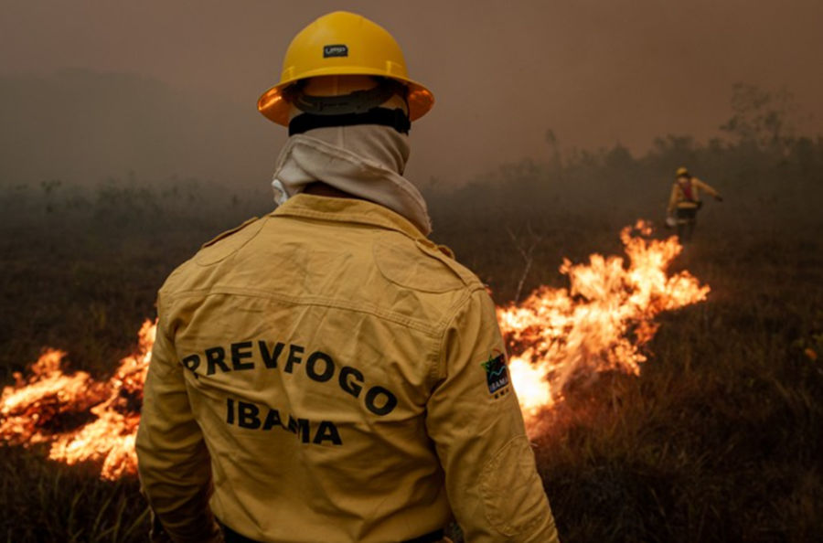 OPORTUNIDADE: Ibama abre processos seletivos com mais de 1 mil vagas