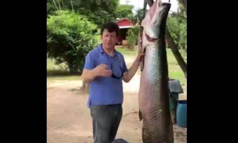 ASSISTA: Ex- governador, Ivo Cassol mostra pirarucu em vídeo e viraliza