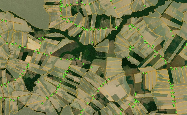 MATAS: Brasil possui 282,8 milhões de hectares de vegetação nativa em áreas rurais