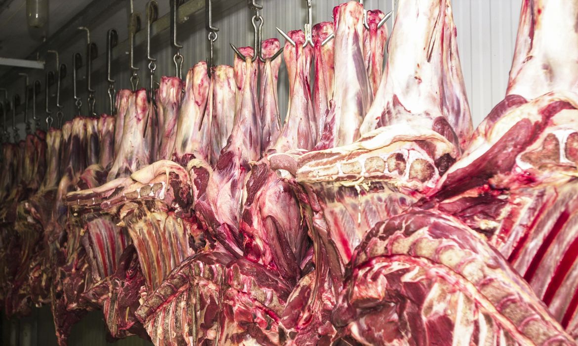 LIBERAÇÃO: Brasil vai exportar carne bovina de cinco frigoríficos para a Tailândia