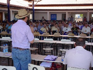 Setor madeireiro busca alternativas para enfrentar crise no interior do Estado