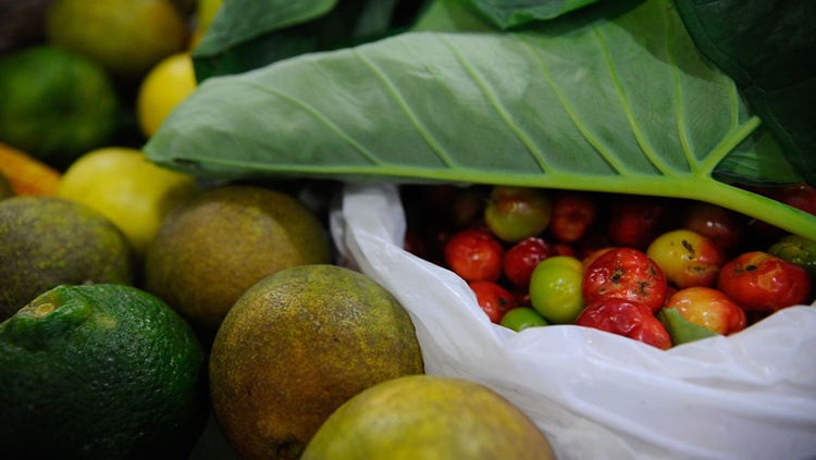 MUDANÇA POSITIVA: Estudo da USP mostra melhora no consumo de alimentos saudáveis