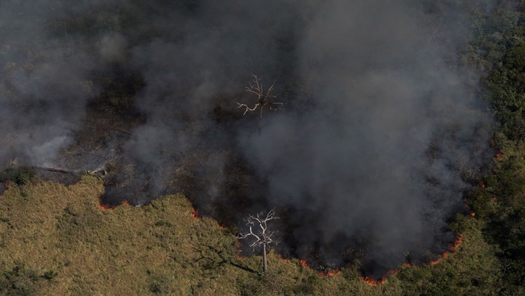 PREOCUPANTE: Amazônia registra agosto com 2º maior número de focos de queimadas da década