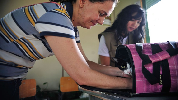 MAUS-TRATOS: Senado aprova aumento de pena para agressores de cães e gatos