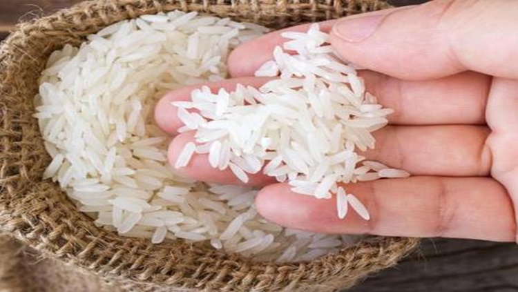 ISENÇÃO DE IMPOSTO: Governo define critérios para cota de importação de arroz