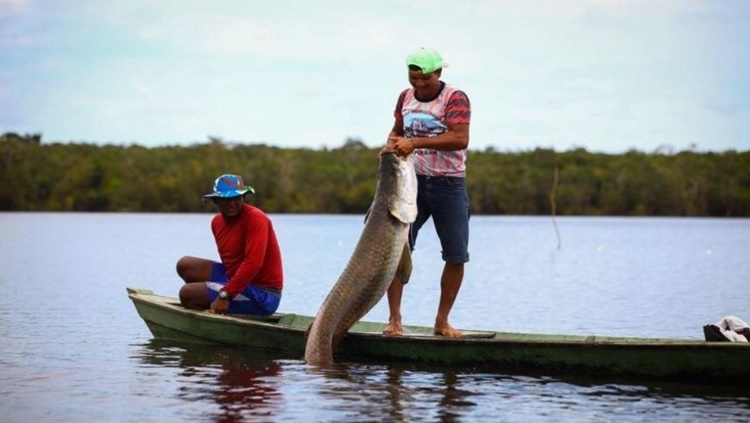 PESCA: Presidente Jair Bolsonaro descarta fim do programa seguro-defeso