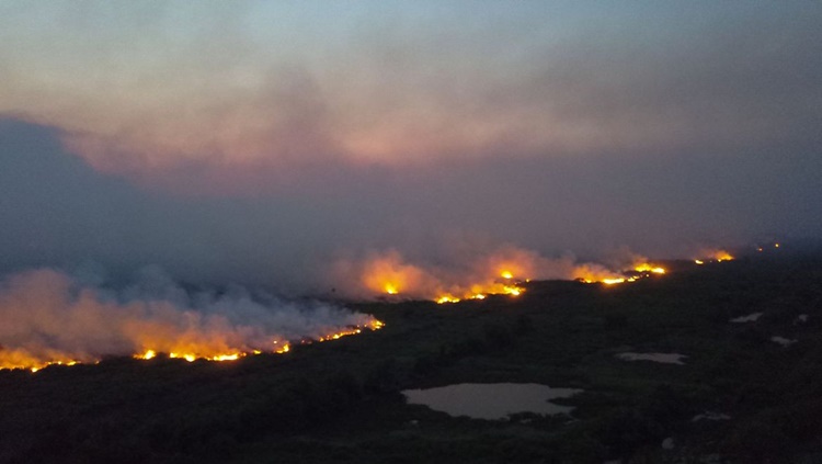 ACOMPANHAMENTO: Senado instala comissão para fiscalizar ações contra fogo no Pantanal