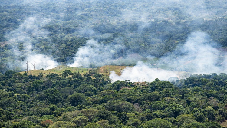 MEIO AMBIENTE: Crise ambiental leva STF a se debruçar sobre o tema pela primeira vez