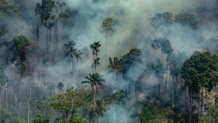 CRISE AMBIENTAL: Ministério do Meio Ambiente cria secretaria voltada para a Amazônia