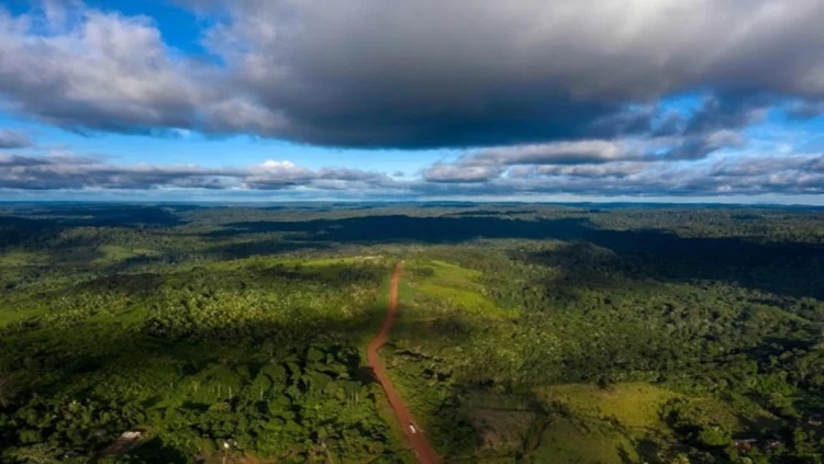 PERIGO: Cerca de 40% da floresta amazônica pode virar savana