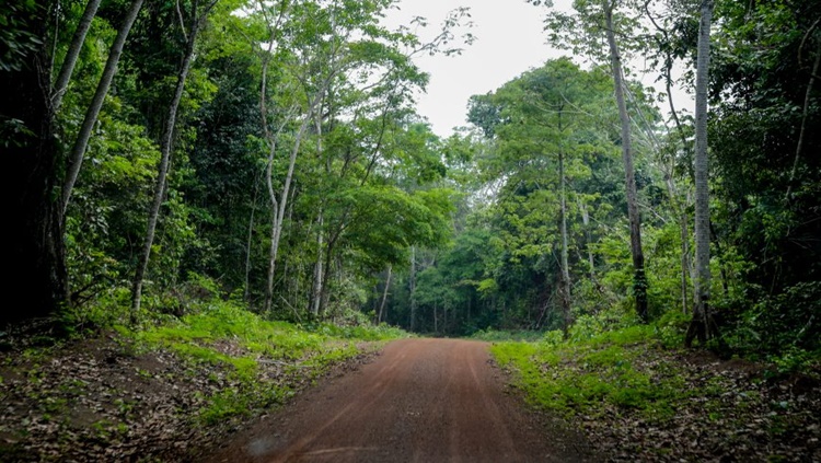 PRESERVAÇÃO: Governo de RO organiza a Resex Rio Cautário para créditos de carbono