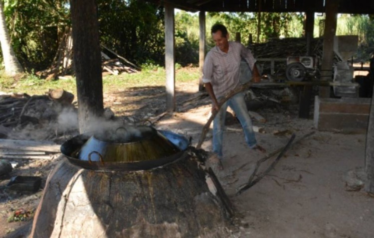 CEREJEIRAS: Produtor de 70 anos continua seu trabalho com fabricação de rapadura e é exemplo