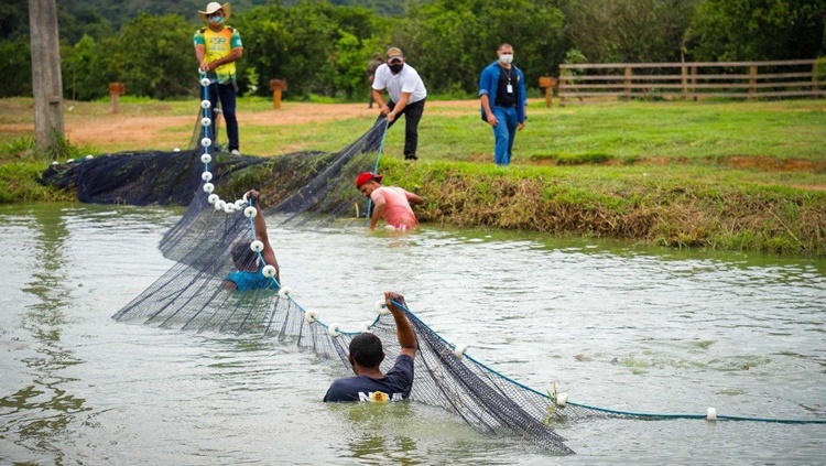 PRESERVAÇÃO: Missão diplomática visita área de regularização fundiária na Amazônia