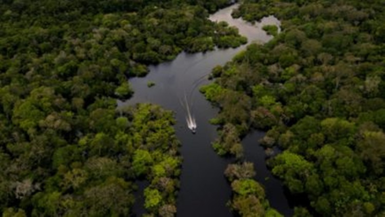 PROPOSTA: Bolsonaro planeja norma para controlar ação de ONGs na Amazônia