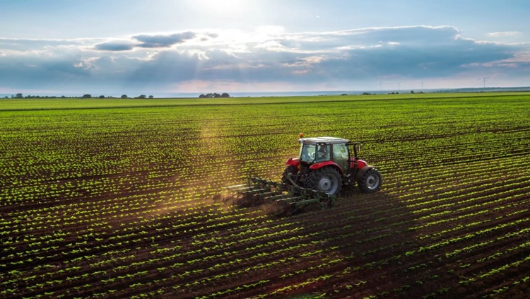 ALTA: Valor da produção agropecuária é estimado em R$848,6 bilhões