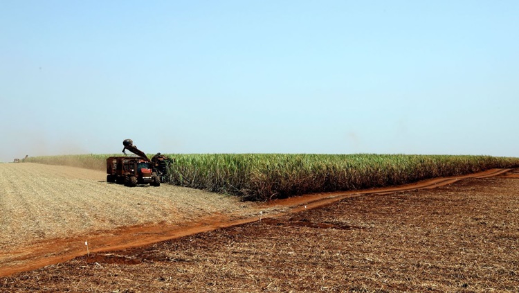 TECNOLOGIA: Agricultura lança plataforma para registro de máquinas e tratores